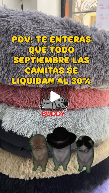 Segunda noticia del mes