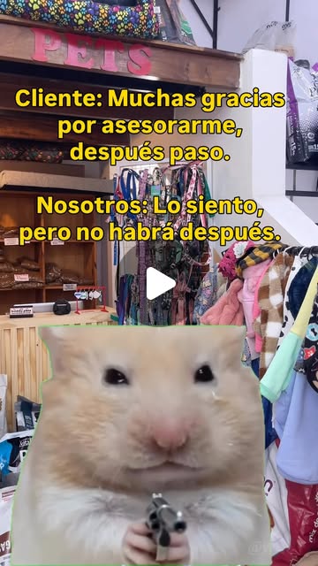 No puedo dejarte ir